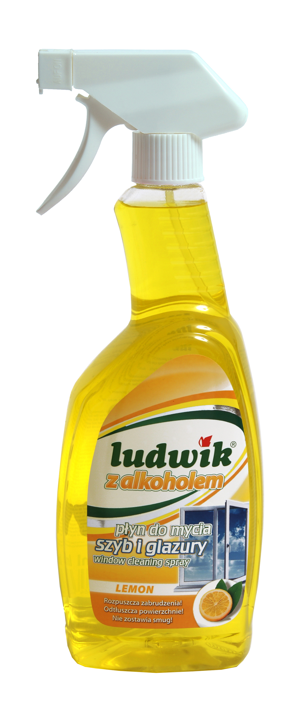 Ludwik do szyb