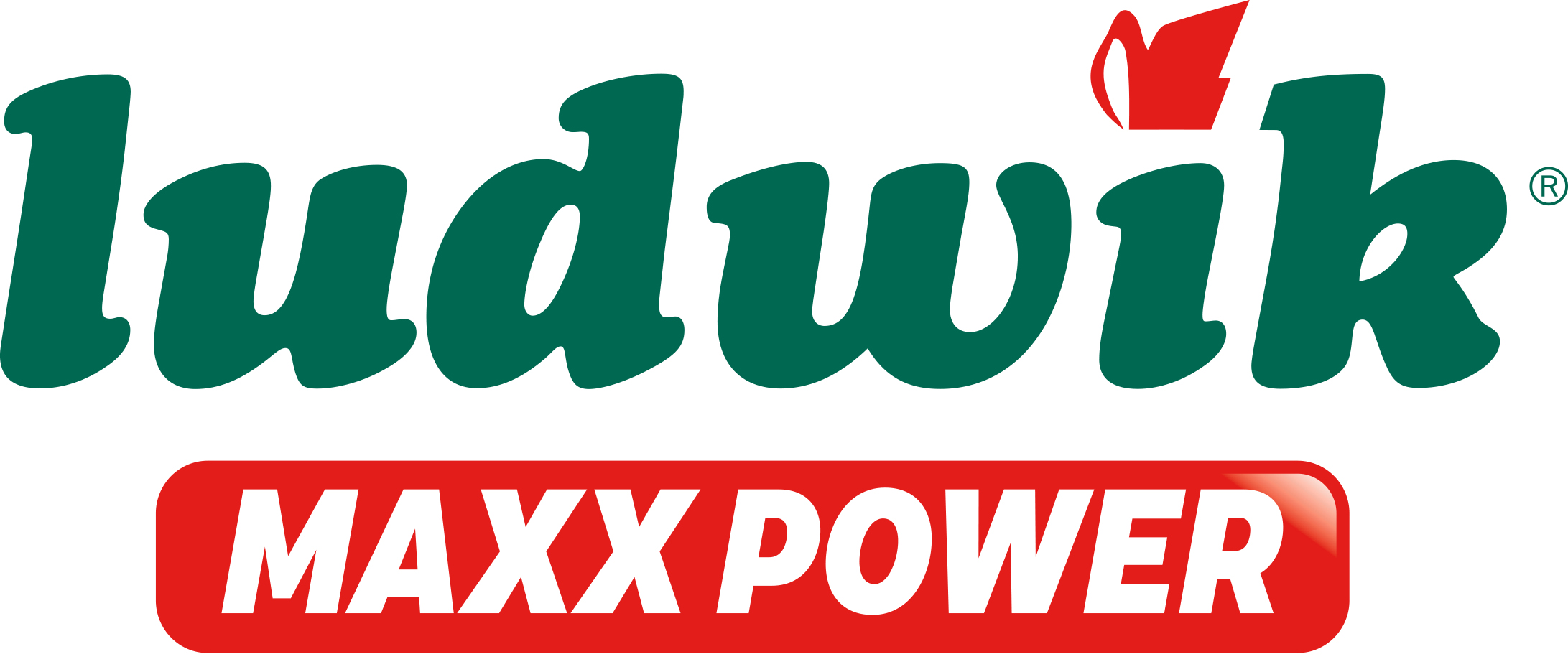 ludwik maxx power